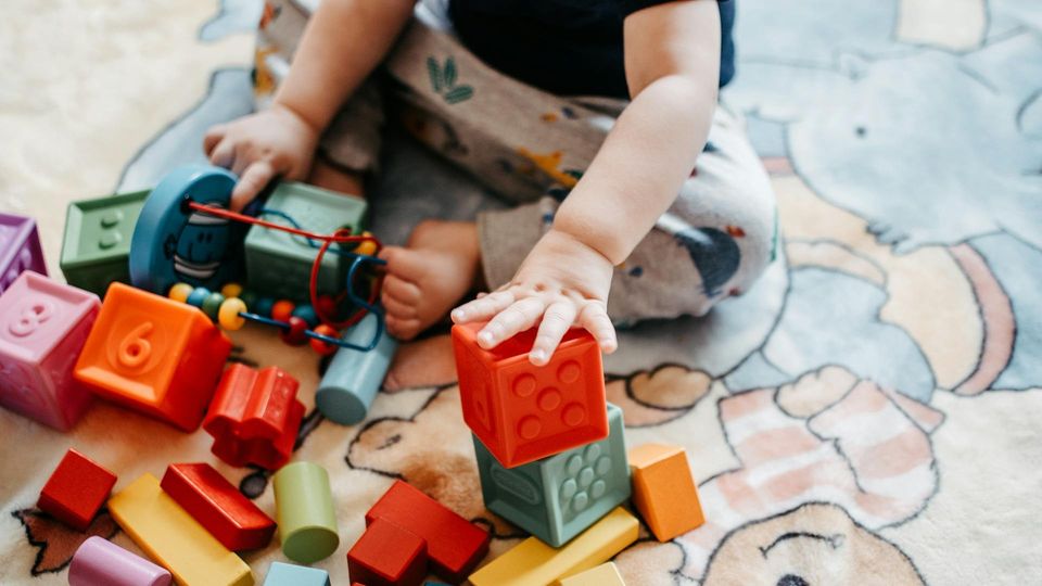 Rooted in Montessori Wisdom